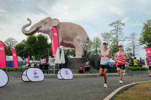 BIB: 
                            <button type="button" onclick="openModal(26528730)" class="btn btn-primary btn-sm float-right btn-popup" data-toggle="modal" data-target=".modal-high-quality">
                        <i class="fas fa-shopping-cart"></i> Add to Cart
                    </button>
                                            <button type="button" onclick="isThisMe(26528730, true)" class="btn btn-success btn-sm float-right btn-popup btn-isme hidden" data-toggle="tooltip" data-placement="bottom" title="นี่คือรูปของคุณใช่ไหม คลิกที่นี่เพื่อเอาเข้าอัลบั้ม">
                        <i class="fas fa-plus"></i> Add to album
                    </button>
                    <button type="button" onclick="isThisMe(26528730, false)" class="btn btn-warning btn-sm float-right btn-popup btn-isnotme hidden">
                        <i class="fas fa-ban"></i> Remove from album
                    </button>